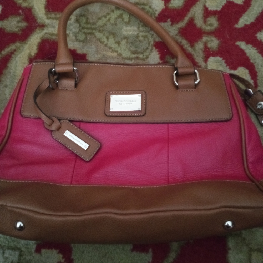 Tignanello hand bag